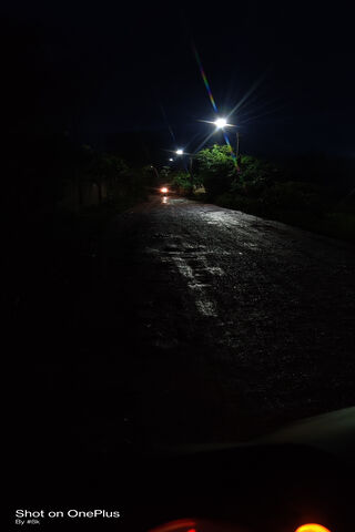 Mysteries of Night Gully 🌌✨