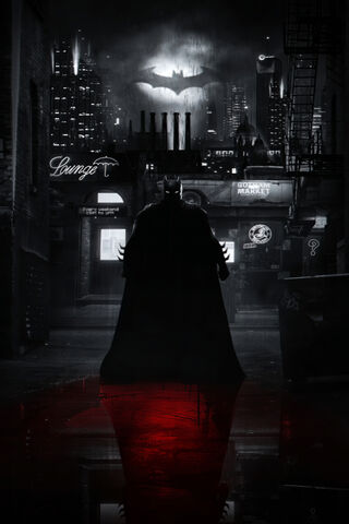 Gotham's Dark Guardian:..