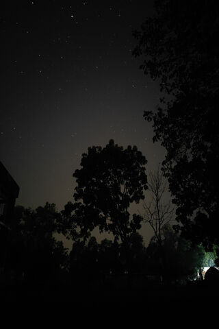 Whispers of the Night 🌌