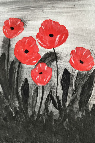 Poppy Dreams 🌺✨