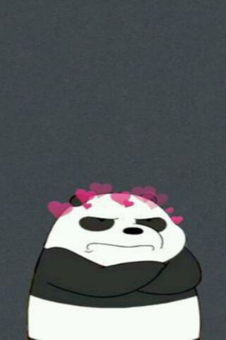 Panda Love: The Grumpy Sweetheart 🐼❤️