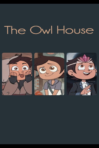 Adventures in the Enchanted Realm 🦉✨