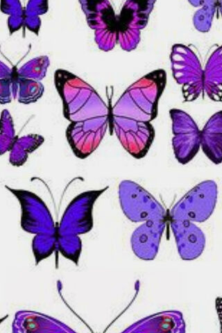 Whimsical Dance of Purple Butterflies 🦋💜
