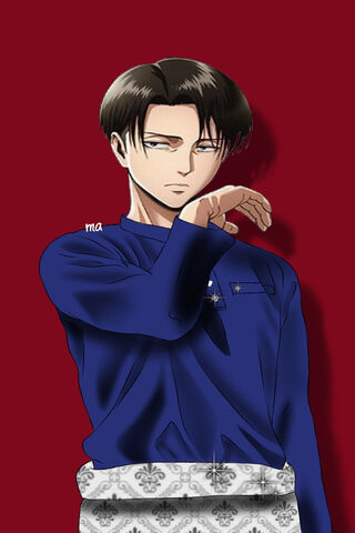 Levi: The Unyielding Hero