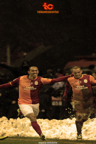 Celebration on the Field: Sneijder's Glory Moment ⚽🎉