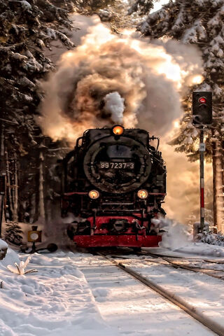 Winter Whistle: The Timeless Train Adventure 🚂❄️