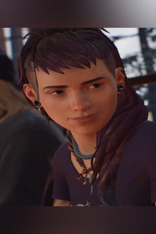 Cassidy: The Spirit of Adventure 🌟