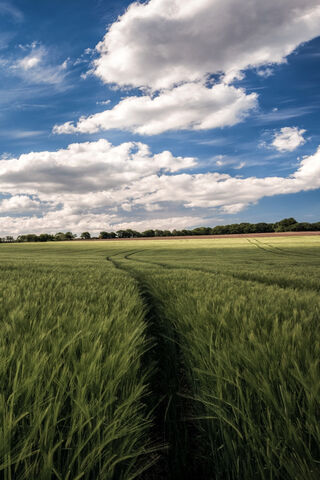 Whispers of the Green Fields 🌾☁️