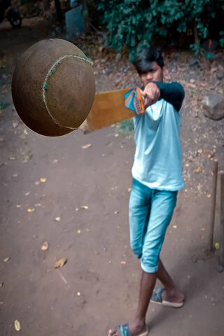 Cricket Fever: Swinging for the Stars! 🏏✨