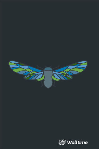The Crypto Cicada: A Symbol of Transformation 🦋💰