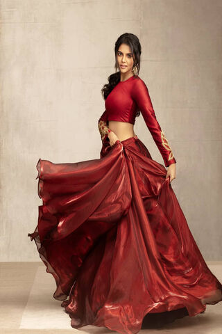 Elegance in Motion: Kalyani Priyadharsan's Stunning Dance