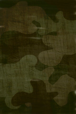 Camo Tribute: A Salute to the Brave 🎖️