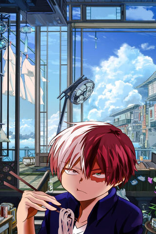 Shoto Todoroki: The Dua..