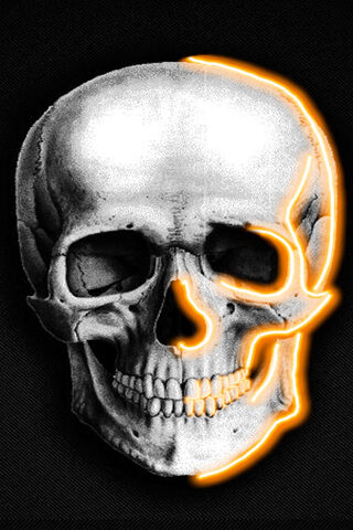 Glow of the Undead: Neon Skeleton Vibes 💀✨