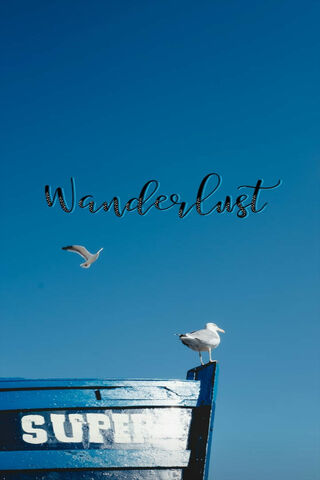 Chasing Horizons: A Journey of Wanderlust 🌍✈️