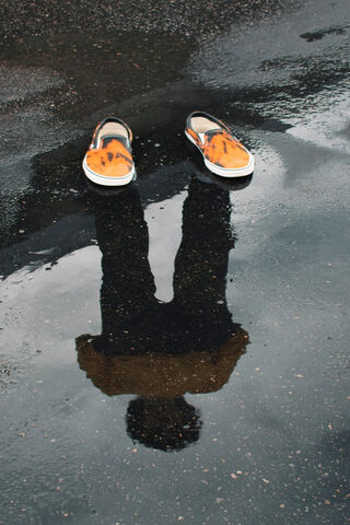 Reflections of a Young ..