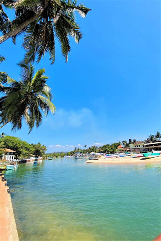 Serene Shores of Goa 🌴🌊