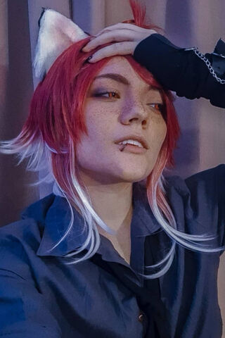 Jackwise: The Enigmatic Feline