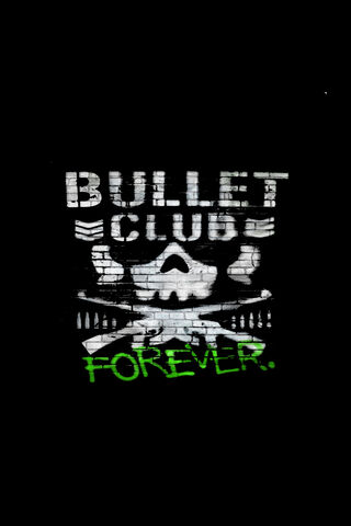 Eternal Vibes of the Bullet Club 💀⚔️