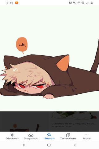 Kity Bakugou: The Purr-fect Hero in Disguise! 🐾