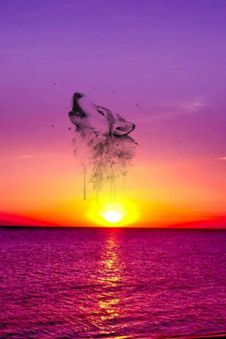 Serene Howl at Dusk 🌅🐺