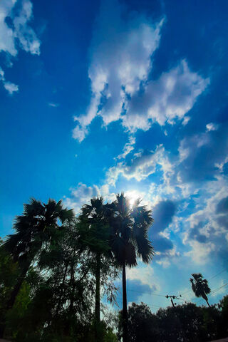 Goa's Serene Skies 🌴☀️