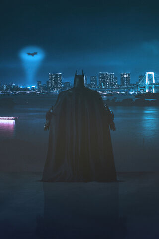 Shadows of the Dark Knight