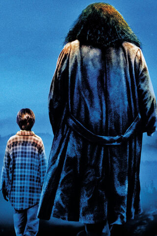 A Magical Friendship: Harry and Hagrid's Journey