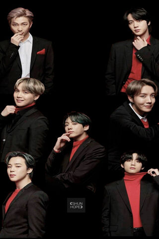 Elegance in Harmony: The Bangtan Sonyeondan Portrait