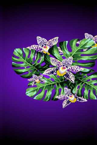 Enchanted Orchid Oasis 🌺✨