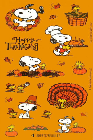 Snoopy's Thanksgiving C..