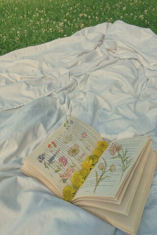 Whispers of Nature: A Floral Tale