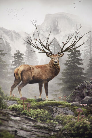 Majestic Stag of the Summit 🦌🏔️