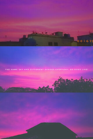 The Purple Sunset