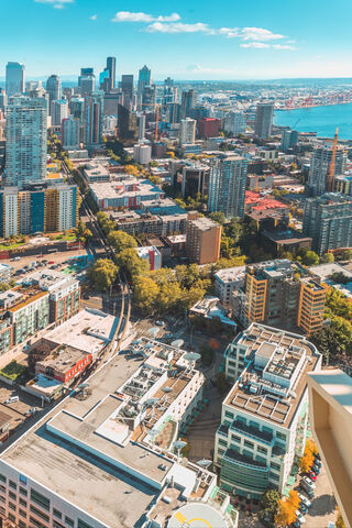 Urban Oasis by the Sea 🌆🌊