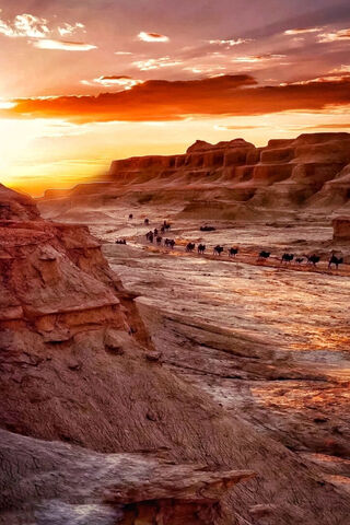 Journey Through the Sands: The Camel Caravan