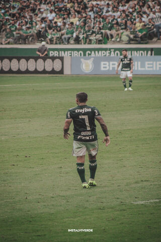 Dudu: The Heart of the Game ⚽️💚