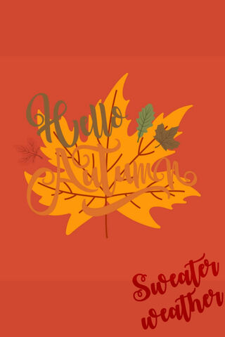 Embracing the Fall Vibes 🍂✨
