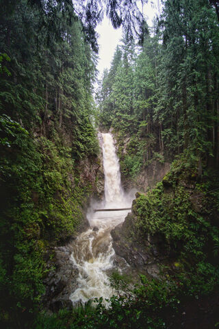 Nature's Majestic Cascade 🌊🌲