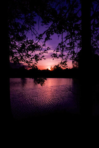 Twilight Serenade 🌅