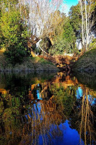 Reflections of Puente Hierro 🌉✨