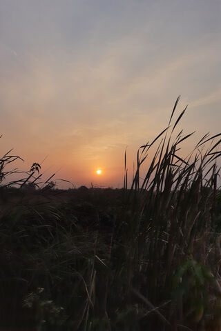 Awakening Horizons: A New Day Begins 🌅