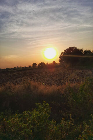 Awakening Horizons: A New Day Begins 🌅