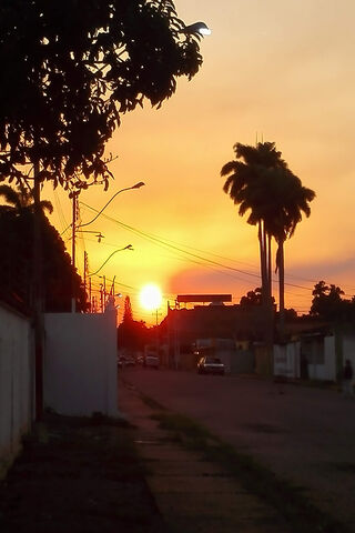 Golden Horizon: A Tropical Evening