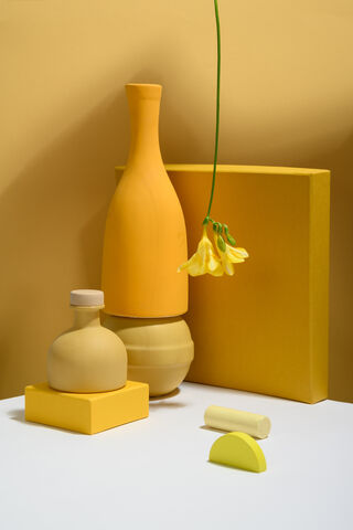 Sunny Serenity: A Celebration of Yellow