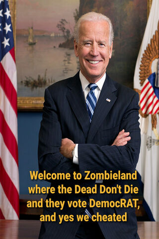 Zombieland Election Humor