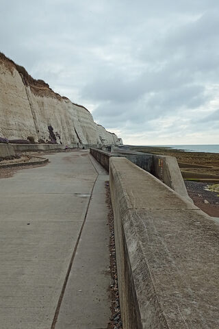 Coastal Pathway: Journey Along the Cliffs 🌊🏞️
