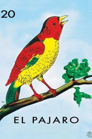 The Colorful Songbird of Mexico 🎶🇲🇽