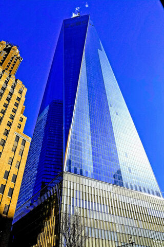 Reaching for the Sky: The Freedom Tower