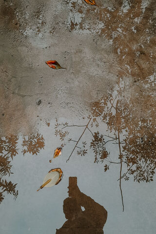 Nature's Mirror: A Moment of Stillness 🌿✨